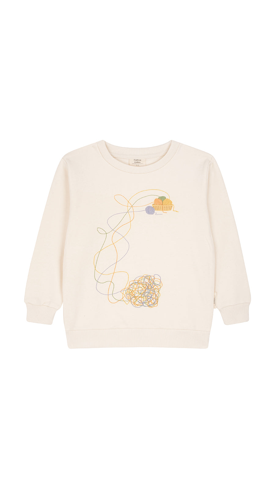 Curious Threads Kids' Organic Cotton Sweatshirt